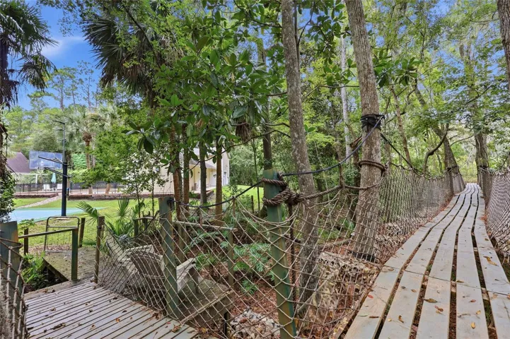 Suspension Bridge