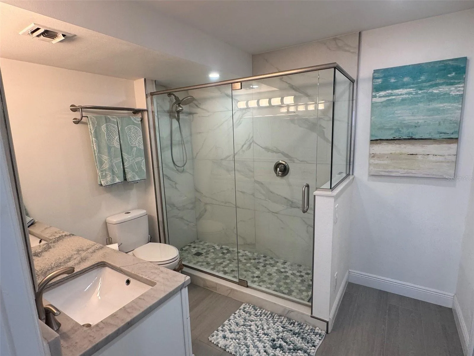 Main Bath Walk in Shower