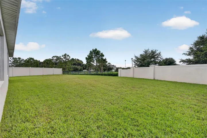 Large BAck Yard w/ Rear Fence