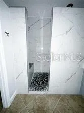 Primary Shower