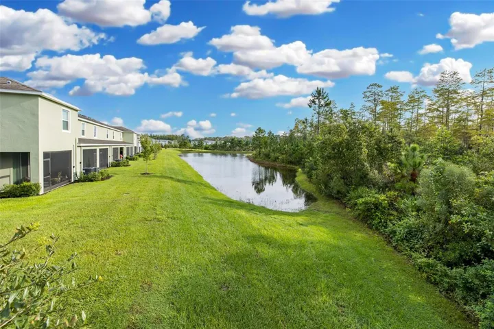 Gorgeous Backyard Conservation View