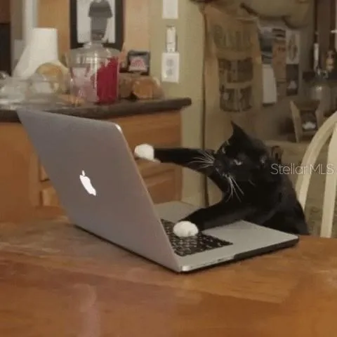 "Fritz".. fixin' His PC that's on the FRITZ..lol!!