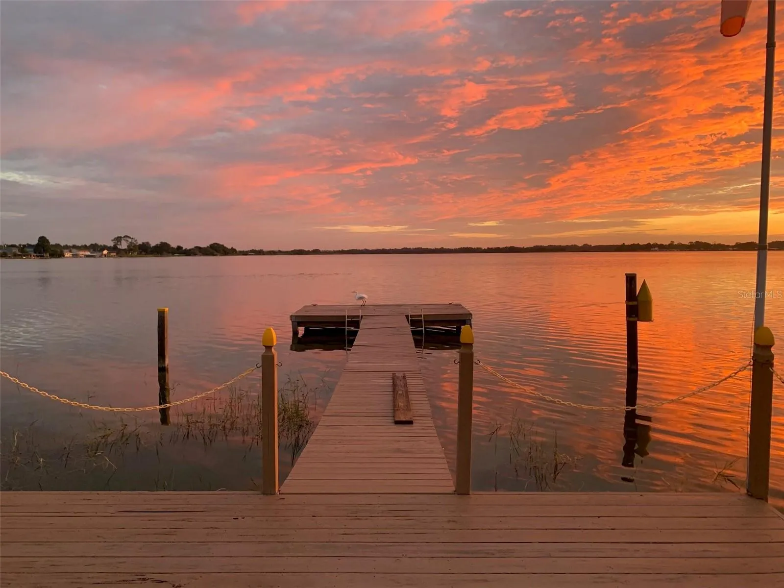 Sunset View