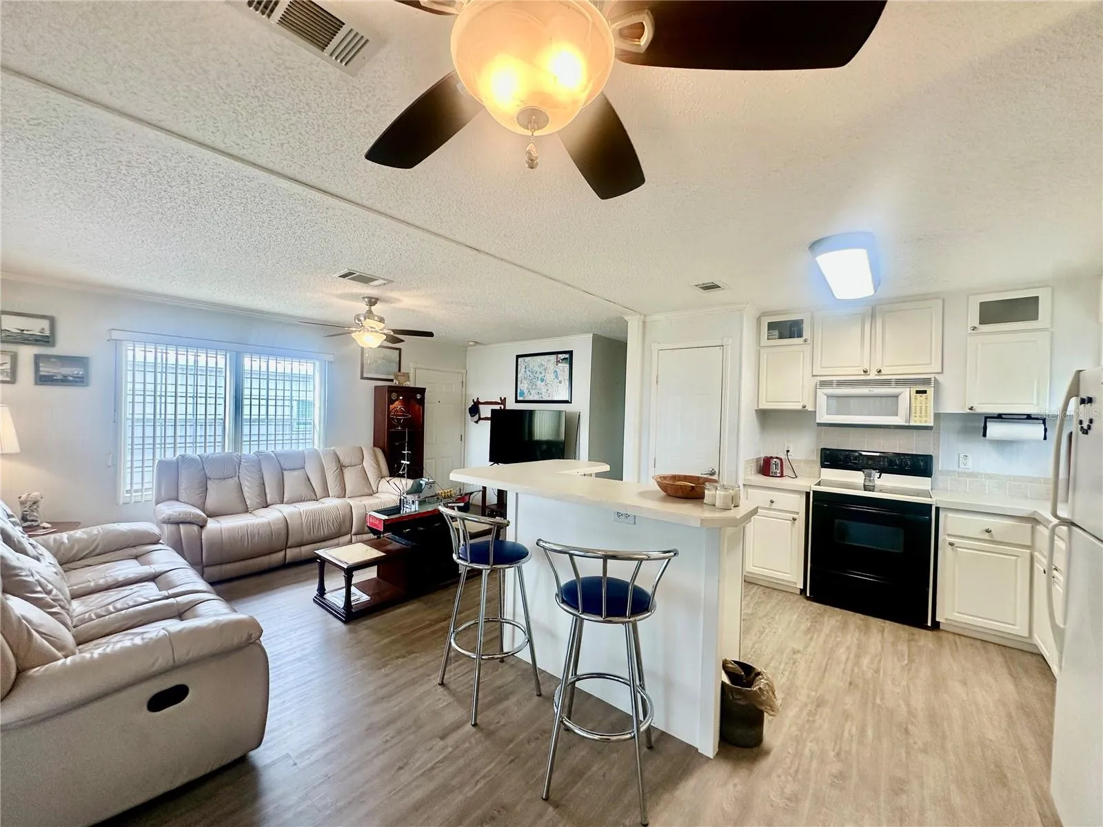 Living Room/Kitchen