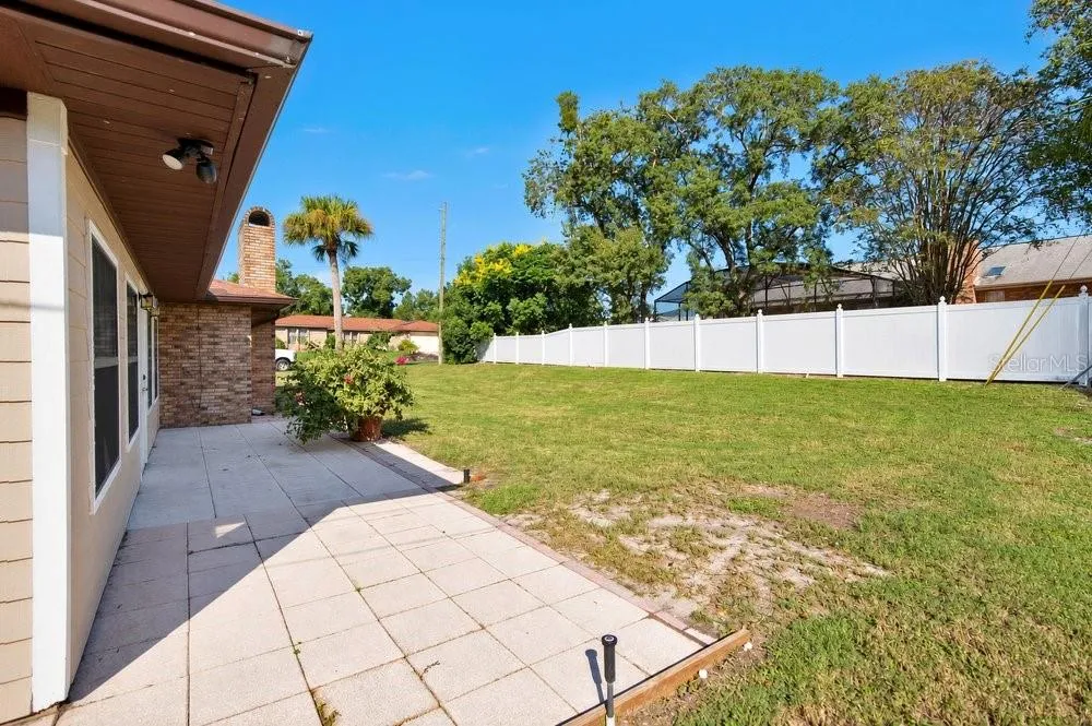 Backyard