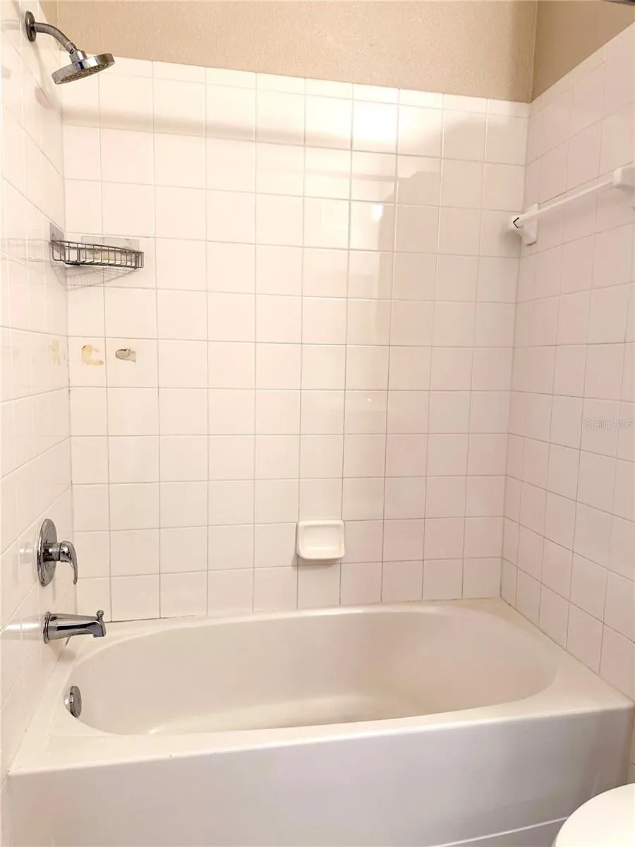 Primary En-Suite Shower &amp; Tub