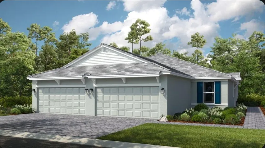 Ibis Rendering
