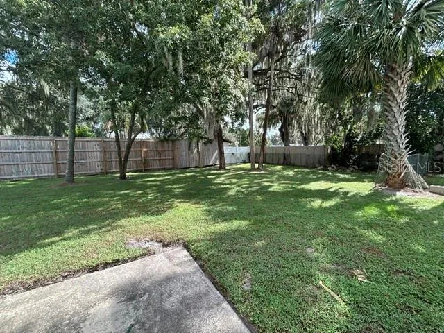 Backyard