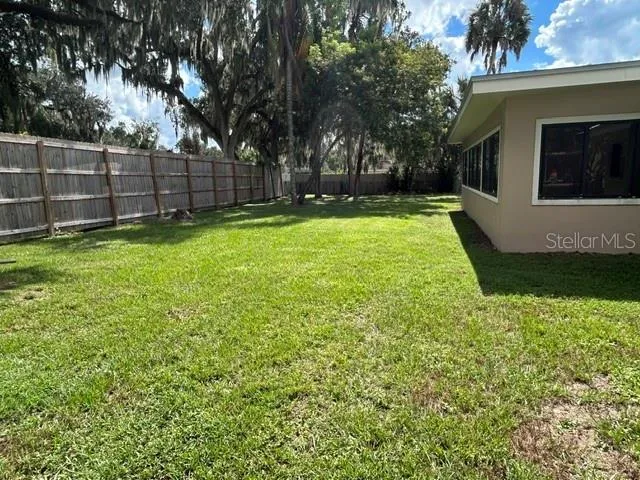 Backyard