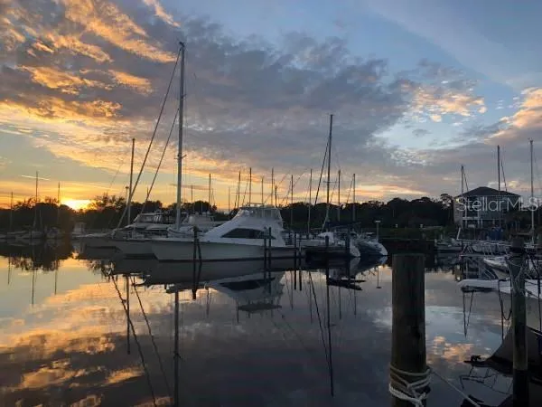 Marina at Sunset