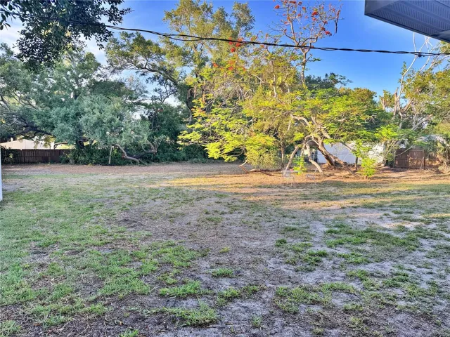 Backyard