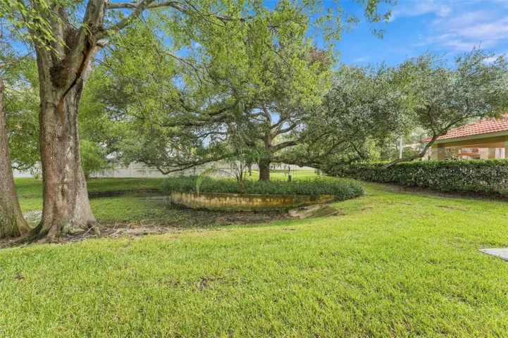 View from downstairs patio