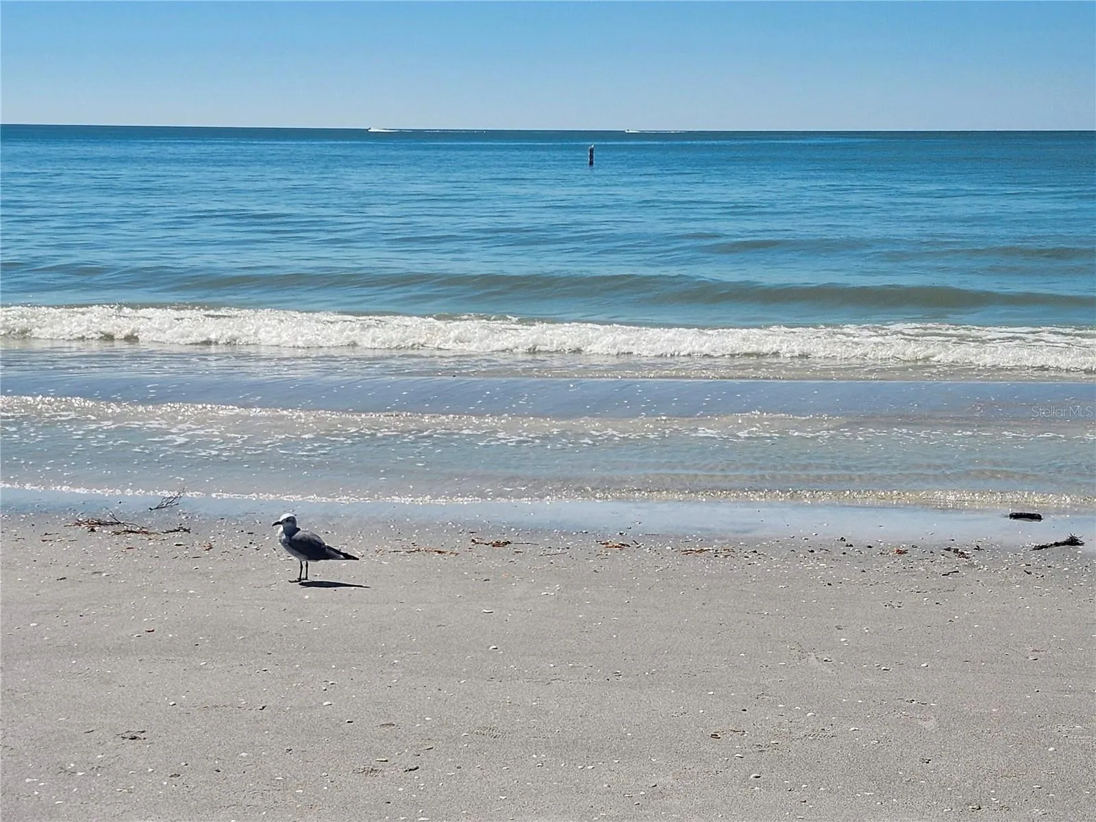 Beautiful Indian Rocks Beach