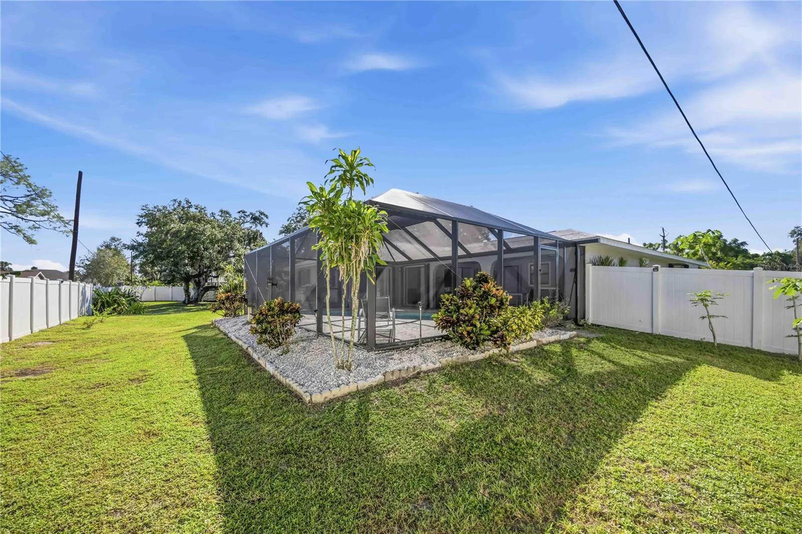 Fenced backyard with palm trees
