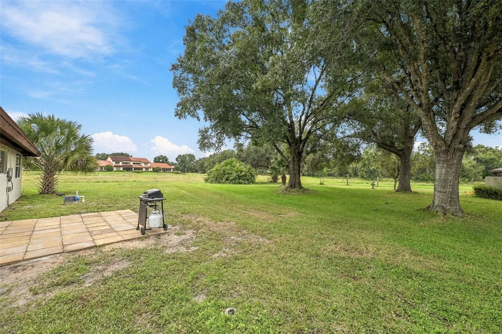 Huge side yard