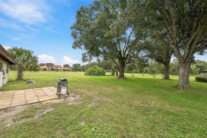 Huge side yard