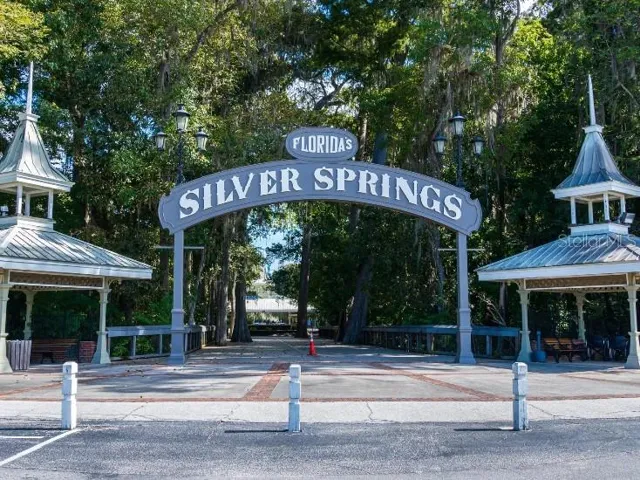 Silver Springs
