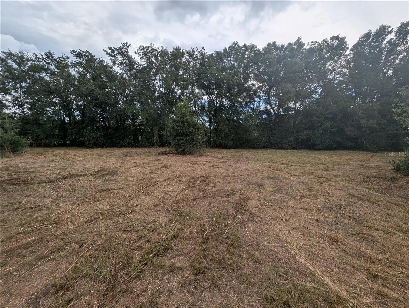 1.01 Acres