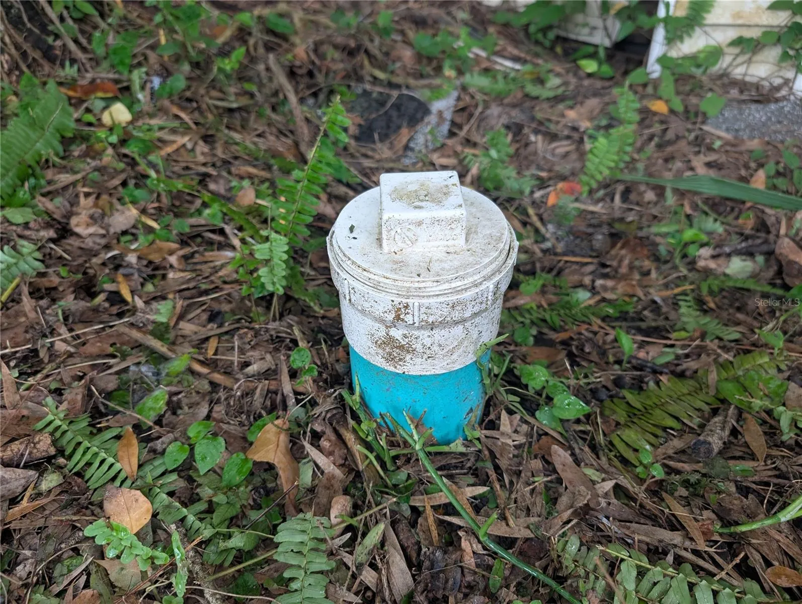 Water