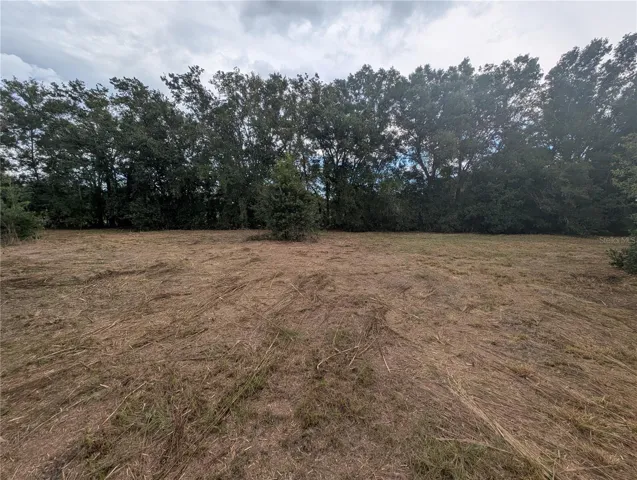 1.01 Acres