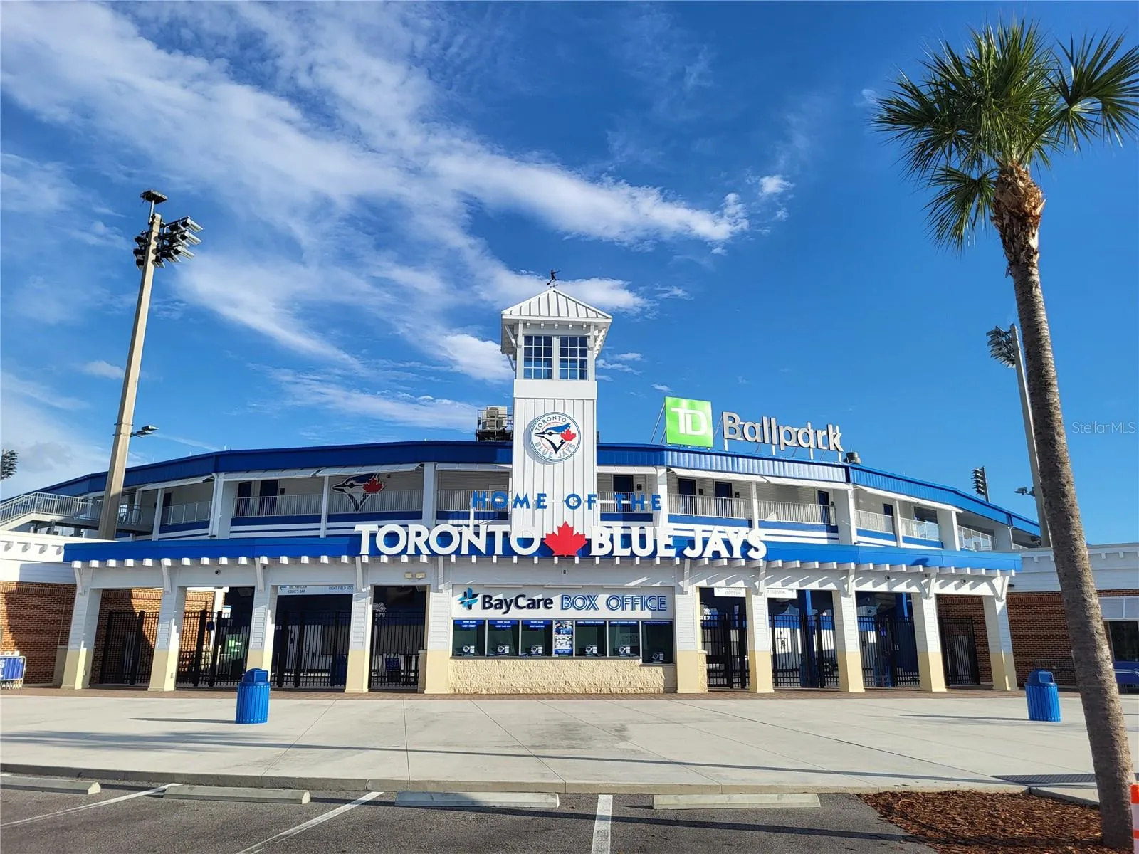 Blue Jays Baseball