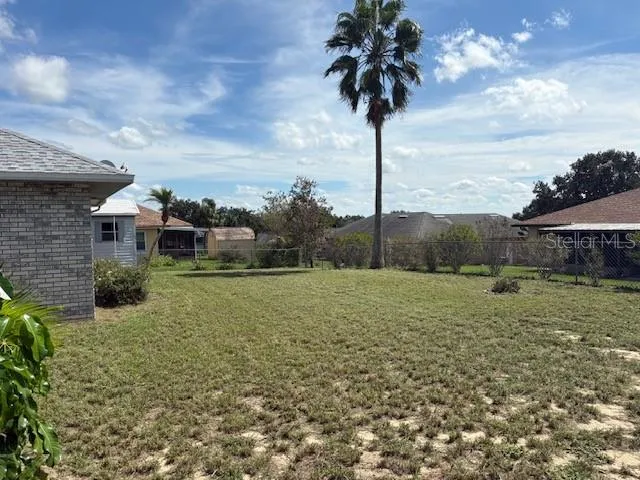 Backyard