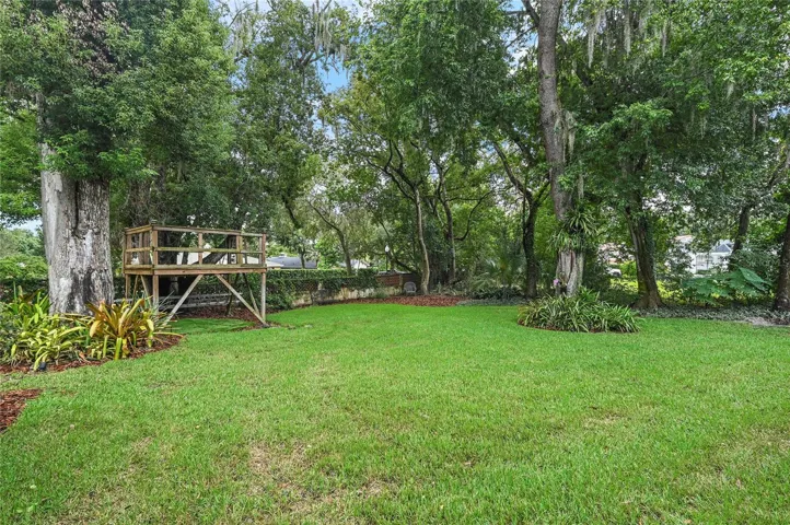 Side Yard Area with Tree Fort Play Deck