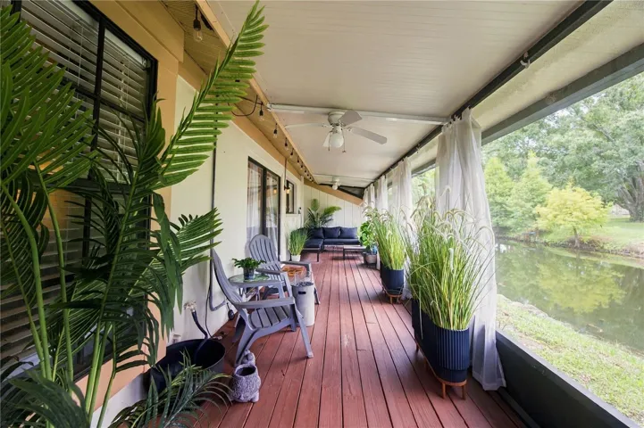 Back Patio 2