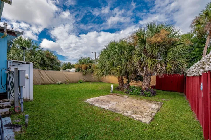 Spacious grassy backyard offers plenty of open outdoor space, complemented by mature palms and perimeter screening for added privacy.