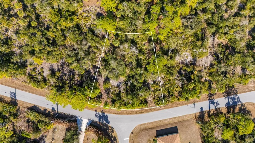 Aerial view of the lot.