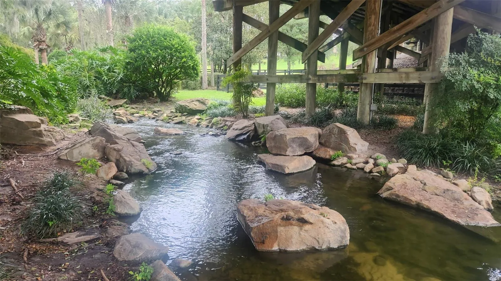 Walking Trail Neighborhood Views