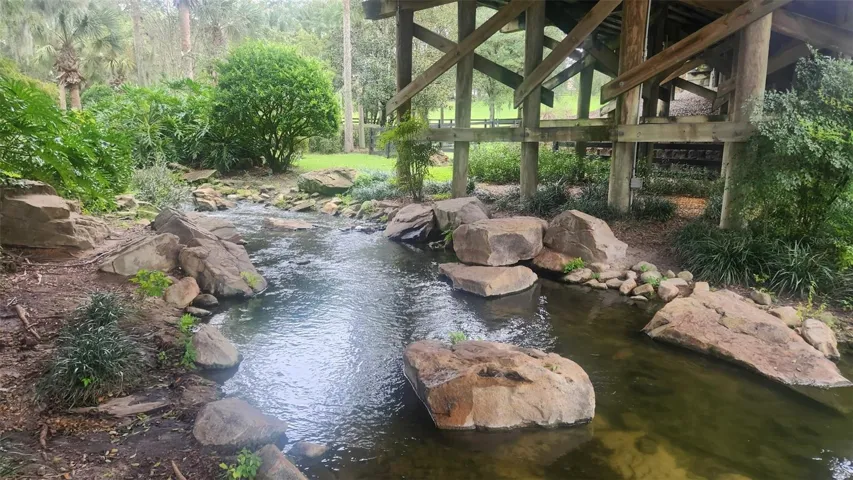 Walking Trail Neighborhood Views
