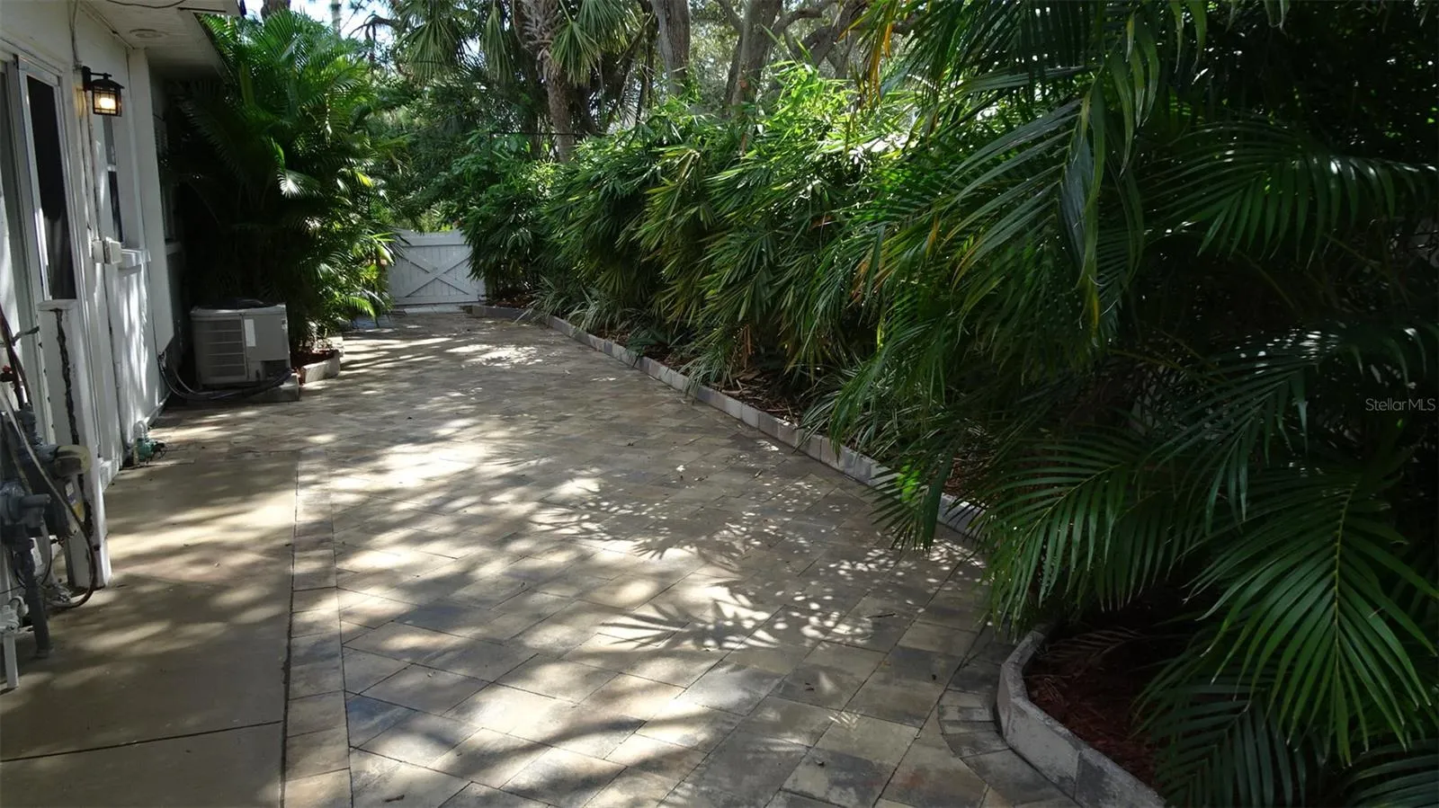 Current view of 45 foot rear patio. Concrete wall behind the palm trees. Gated at far end.