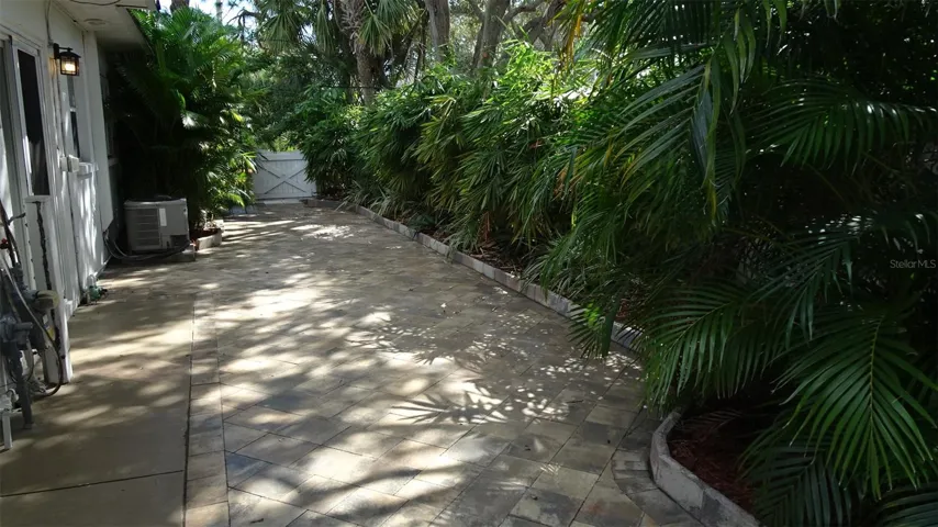 Current view of 45 foot rear patio. Concrete wall behind the palm trees. Gated at far end.