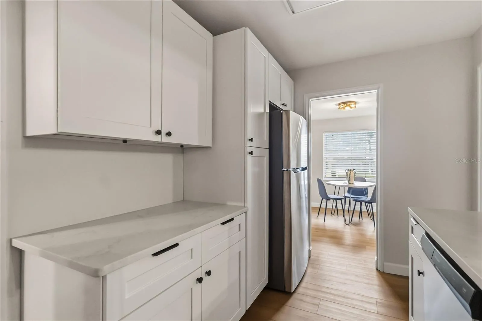 This kitchen is well thought out for significant storage and even a pantry