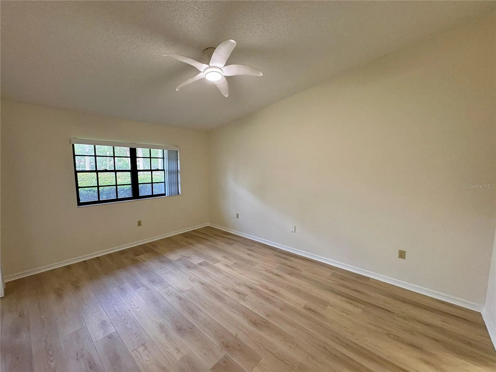 Primary Bedroom Vacant