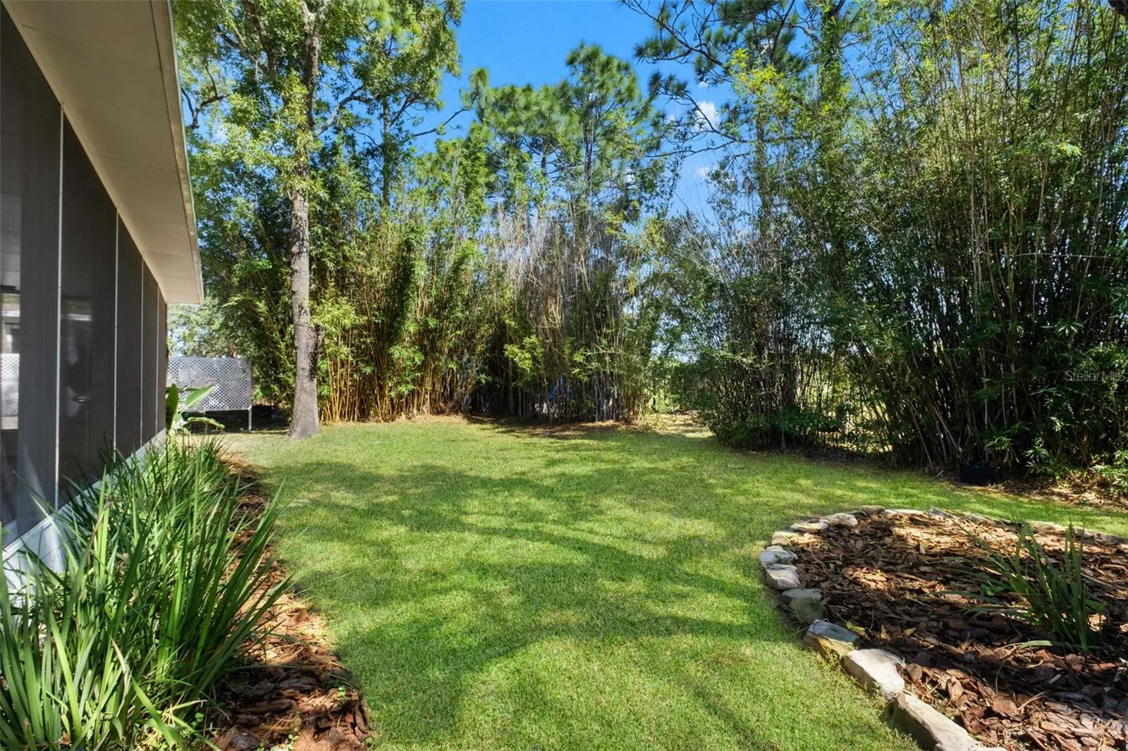 Beautiful Back Yard