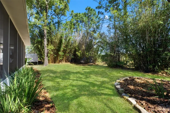 Beautiful Back Yard