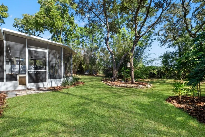 Beautiful Back Yard