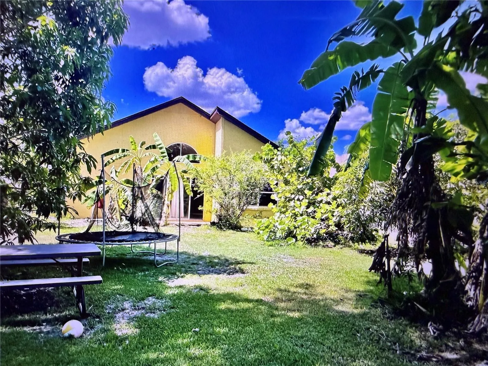 BACK OF HOUSE