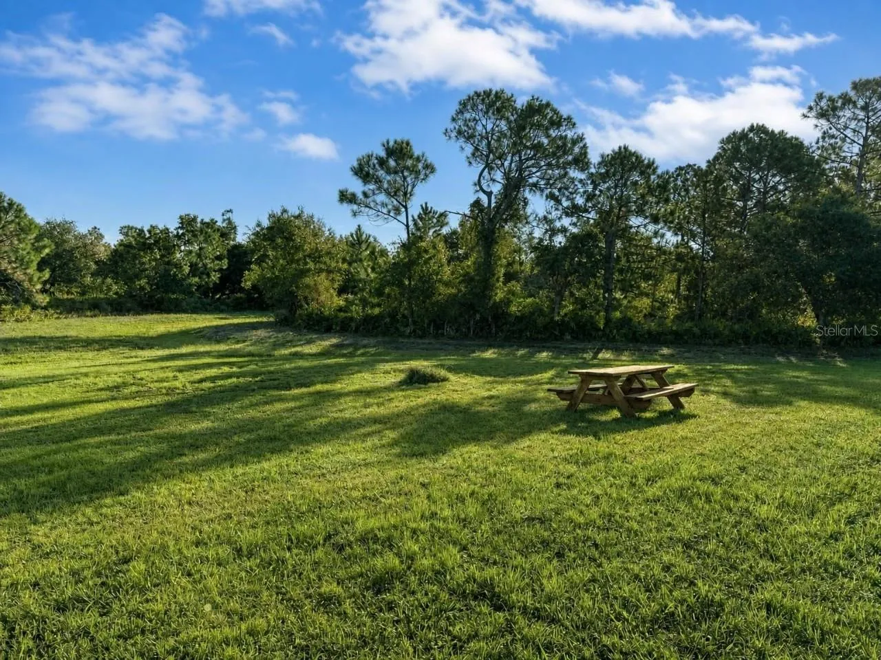 View from back patio