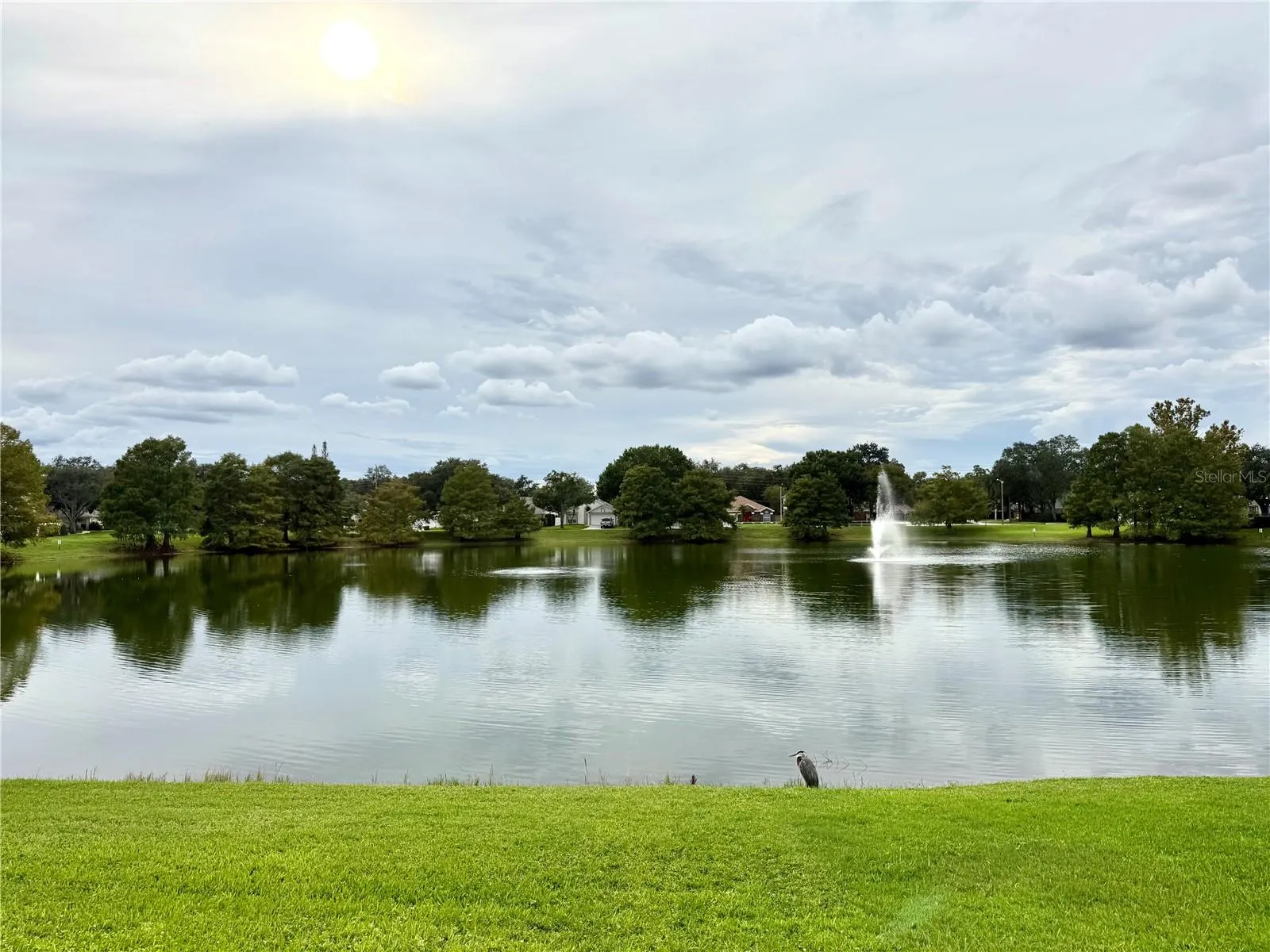 Lake View