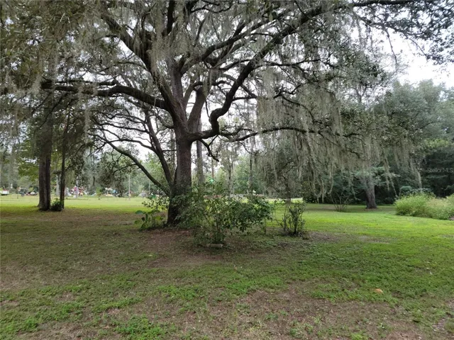 Beautiful Oaks