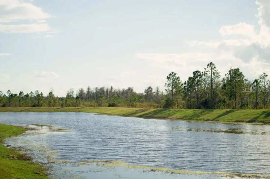 Scenic Pond View