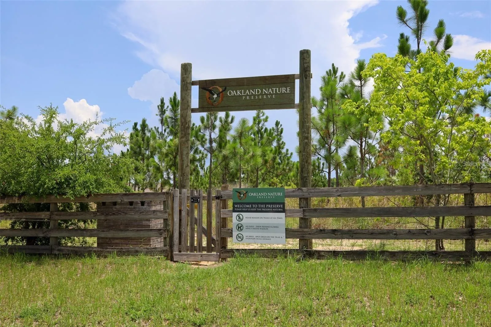 Discover the natural beauty of Oakland Nature Preserve, an inviting escape for outdoor enthusiasts.