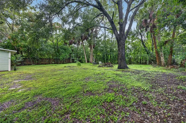 Nice Shaded Lot.
