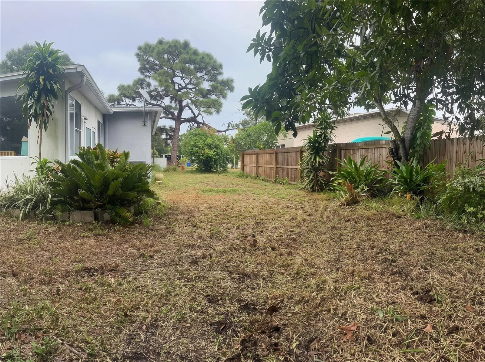 BACKYARD LEFT SIDE