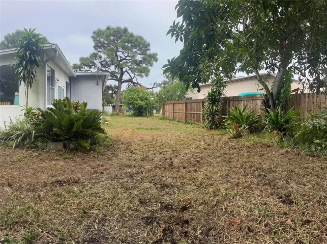 BACKYARD LEFT SIDE