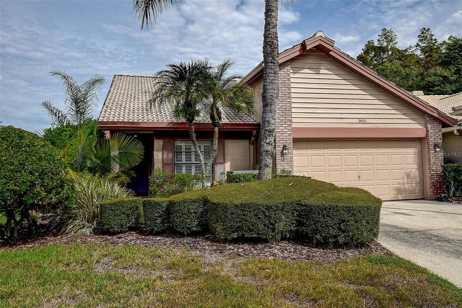 3609 Darston
