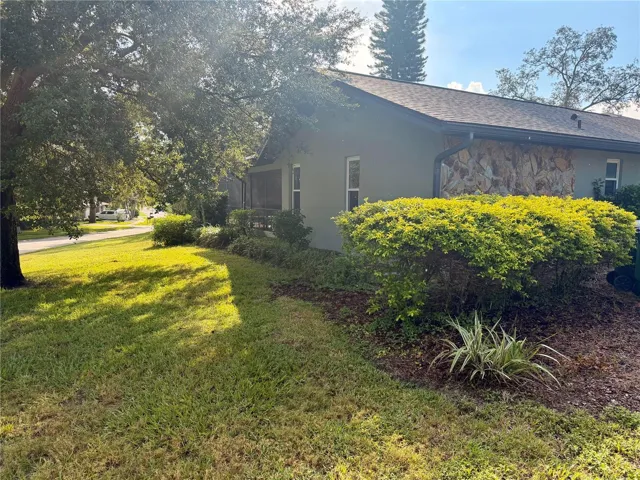 Side Yard